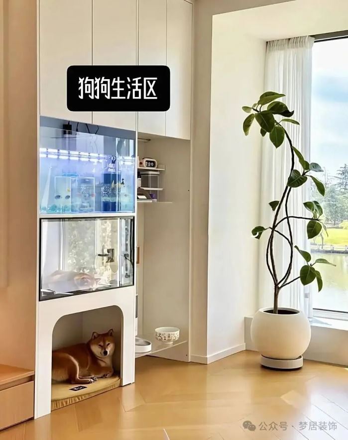 第一娱乐-追求康健,你我一起生长